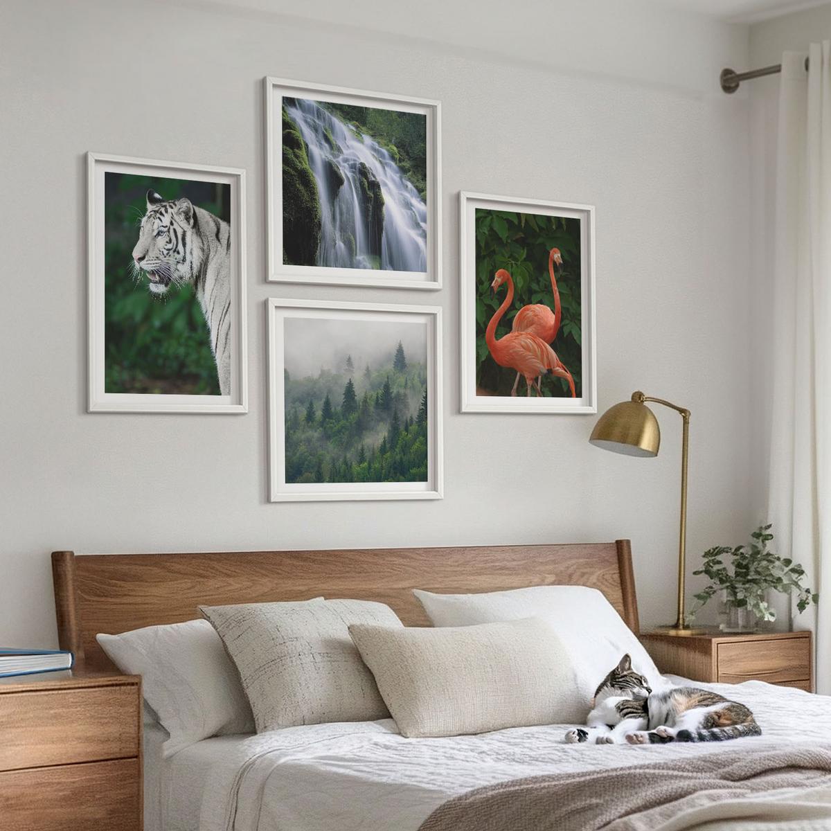 BILDER SET 4er Set - 50x50 cm & 40x60 cm Weißer Rahmen - Tiger Wasserfall Flamingos Natur - Weiß, Kunststoff (50/50cm) - TULUP