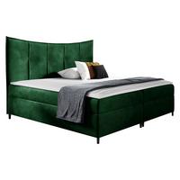 BOXBETT Bergamo - H3 - Smaragdgrün, Holz (160/200cm) - MIRJAN24