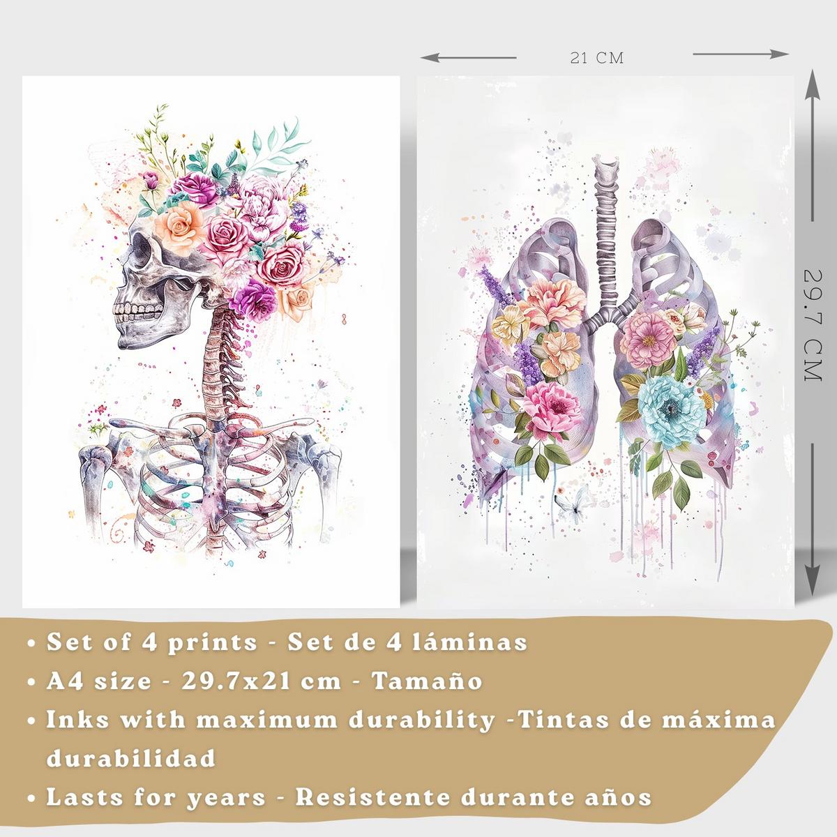 POSTER Set aus 4 Anatomie Mensch Drucke und mit Schädel Lungen Verdauungssystem und Gehirn Florales Aquarell Design Größe Leichter Holzrahmen A4 - Beige, Papier (21/29.7/3cm) - Nacnic