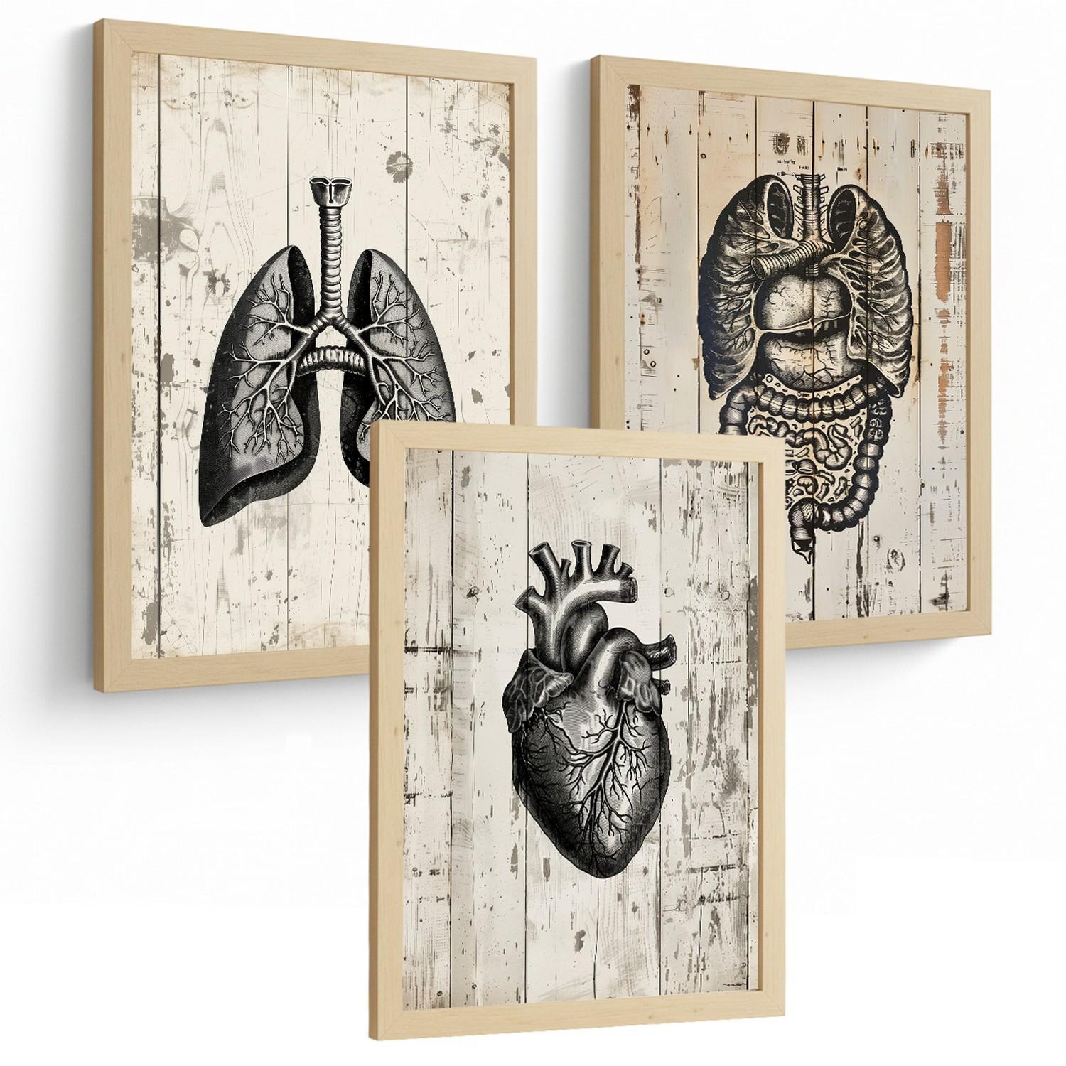 POSTER Set aus 3 Anatomie Mensch Drucke und Wandbilder mit Lungen Darm und Herz Rustikaler Stil Wanddekoration Größe Leichter Holzrahmen A4 - Beige, Papier (21/29.7/3cm) - Nacnic
