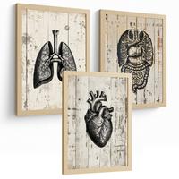 POSTER Set aus 3 Anatomie Mensch Drucke und Wandbilder mit Lungen Darm und Herz Rustikaler Stil Wanddekoration Größe Leichter Holzrahmen A4 - Beige, Papier (21/29.7/3cm) - Nacnic
