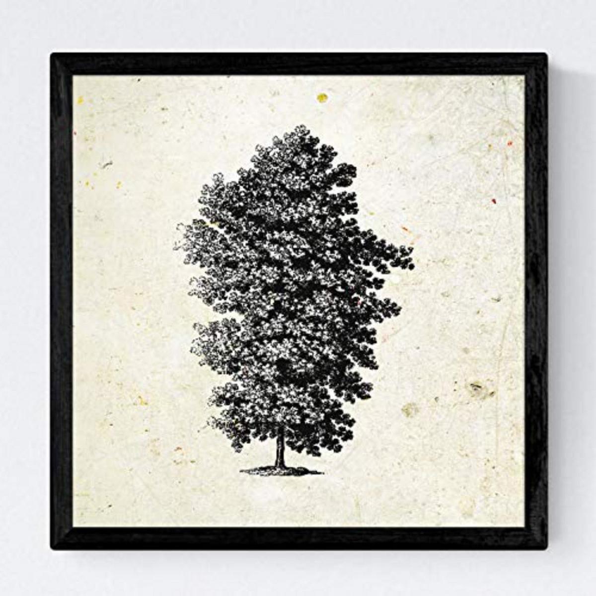 POSTER Set mit 4 Blättern der Hohe Bäume in der 20x20cm Schwarzer Rahmen - Schwarz, Papier (20/3cm) - Nacnic