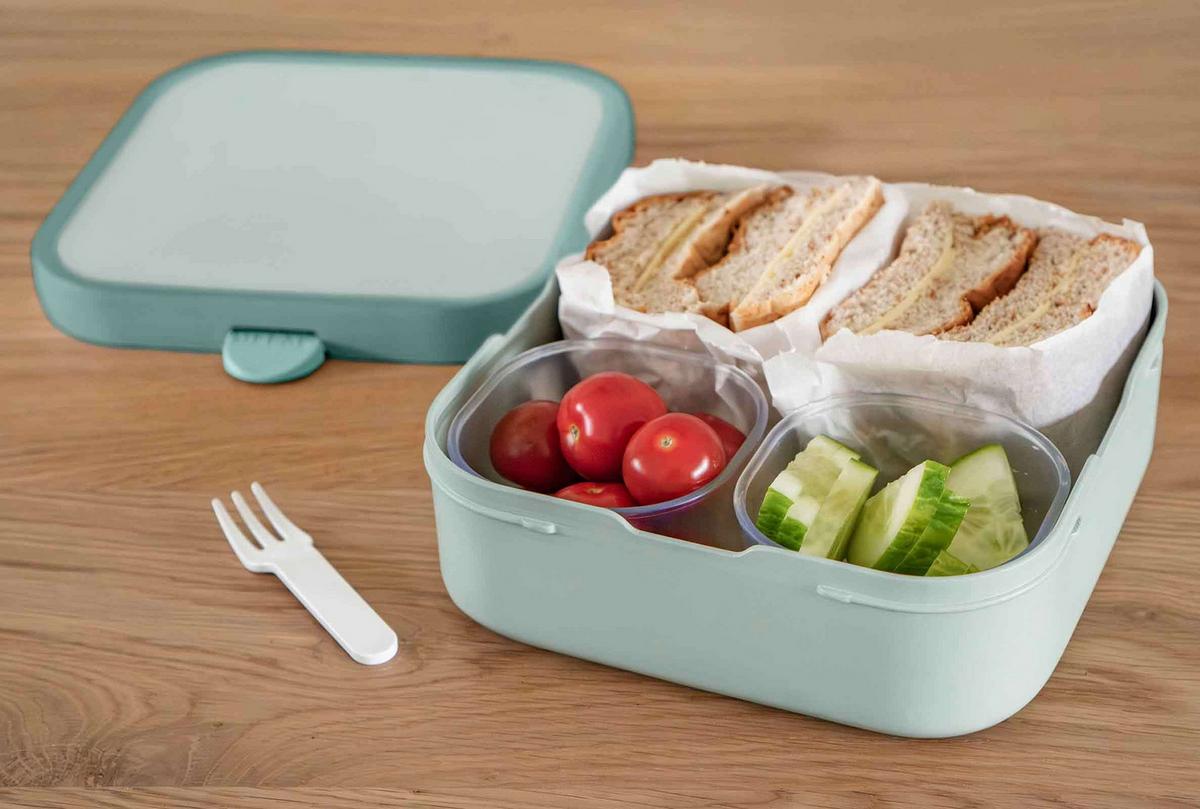 BROTDOSE XL Campus (2025) Dino 1,3 l - Dunkelgrün, Kunststoff (18.2/6.1/18.2cm) - Mepal