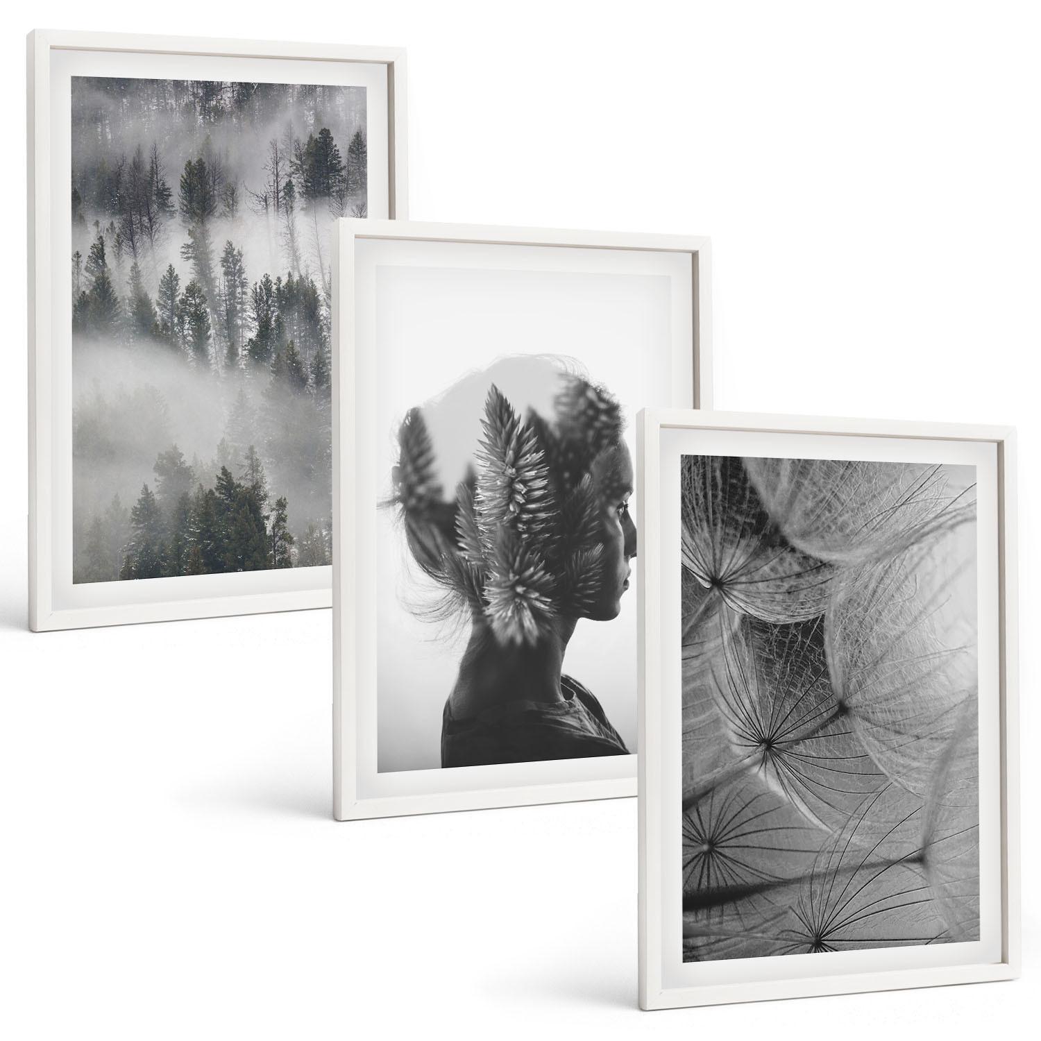BILDER SET 3er Set - 40x60 cm Weißer Rahmen - Waldnebelporträt Baum Löwenzahn - Weiß, Kunststoff (40/60cm) - TULUP