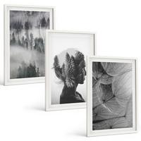 BILDER SET 3er Set - 40x60 cm Weißer Rahmen - Waldnebelporträt Baum Löwenzahn - Weiß, Kunststoff (40/60cm) - TULUP