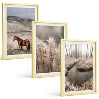 BILDER SET 3er Set - 40x60 cm Goldrahmen - Pferde, Landschaft, Gras, Bach - Goldfarben, Kunststoff (40/60cm) - TULUP