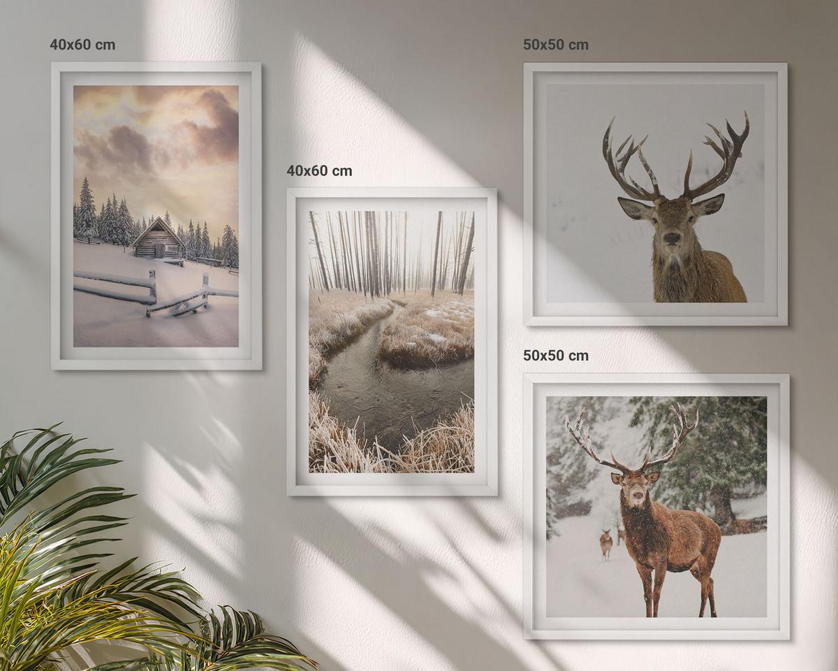 BILDER SET 4er Set - 50x50 cm & 40x60 cm Weißer Rahmen - Winterlandschaft mit Hirschen - Weiß, Kunststoff (50/50cm) - TULUP