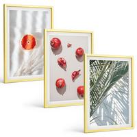 BILDER SET 3er Set - 40x60 cm Goldrahmen - Feiertagspalmenfrüchte - Goldfarben, Kunststoff (40/60cm) - TULUP