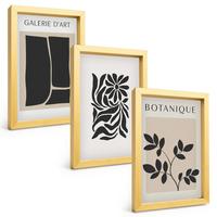 BILDER SET 3er Set - 20x30 cm Goldrahmen - Abstrakte Pflanzenmuster - Goldfarben, Kunststoff (20/30cm) - TULUP