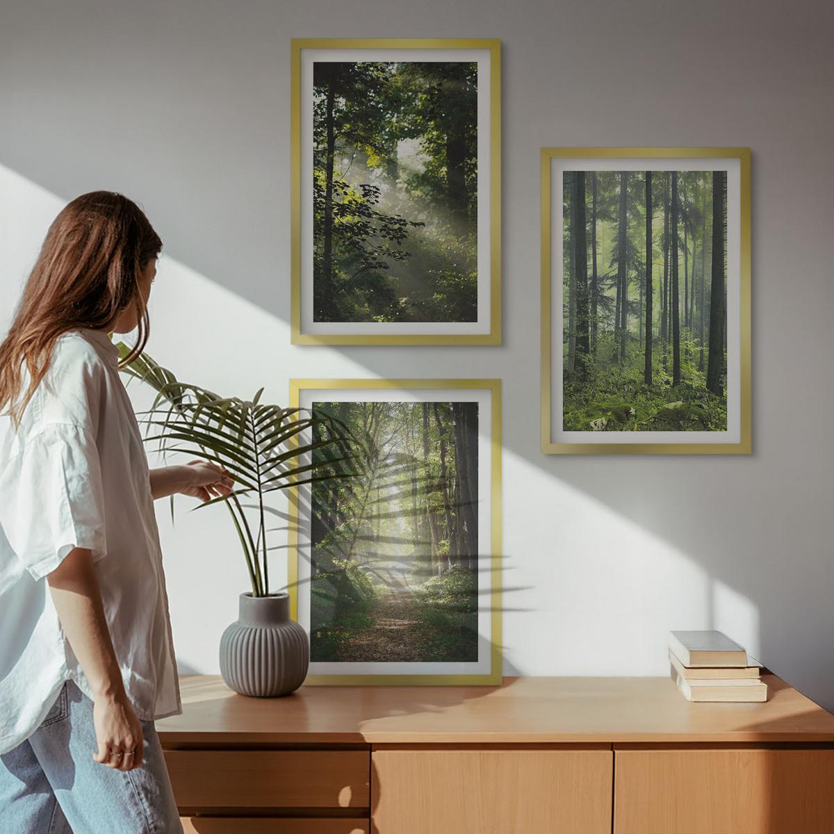 BILDER SET 3er Set - 40x60 cm Goldrahmen - Grüne Wälder mit Lichtstrahlen - Goldfarben, Kunststoff (40/60cm) - TULUP