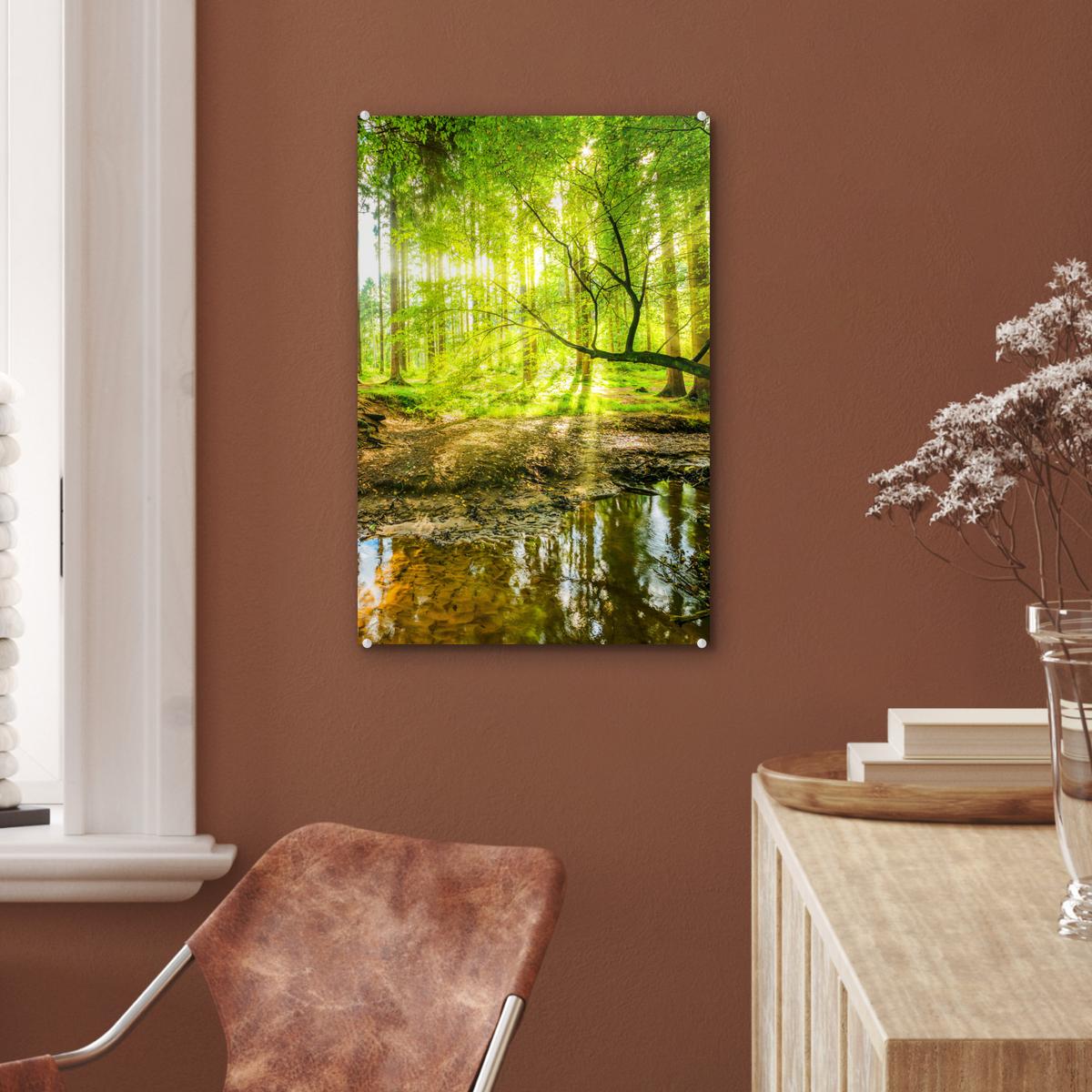 ACRYLGLASBILD Wald - Landschaft - Wasser - Bäume - Sonne - Grün - Natur Wanddeko Wohnzimmer 40x60 cm - Grün, Glas (40/60cm) - MuchoWow