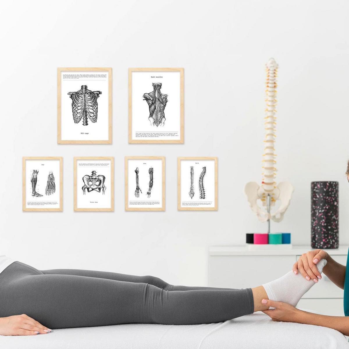 POSTER Set Mit 6 Anatomie Sammlung Von Platten Größe A3 und A4 Rahmenlos - Klar, Papier (29.7/1cm) - Nacnic
