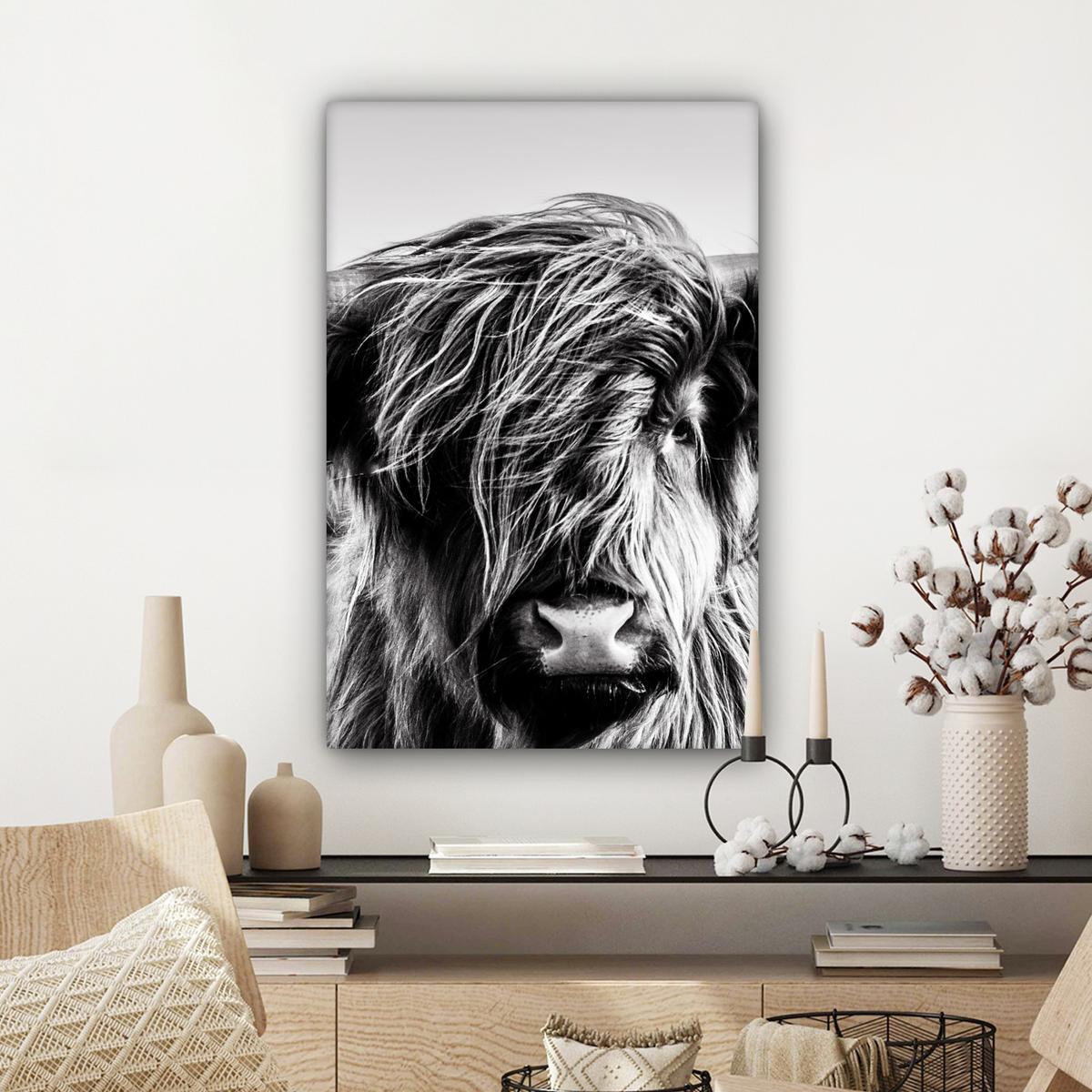 LEINWANDBILD Kuh - Schottischer Hochländer - Schwarz - Weiß - Tier - Natur - Wildtiere Wanddeko 40x60 cm - Schwarz, Textil (40/60cm) - MuchoWow