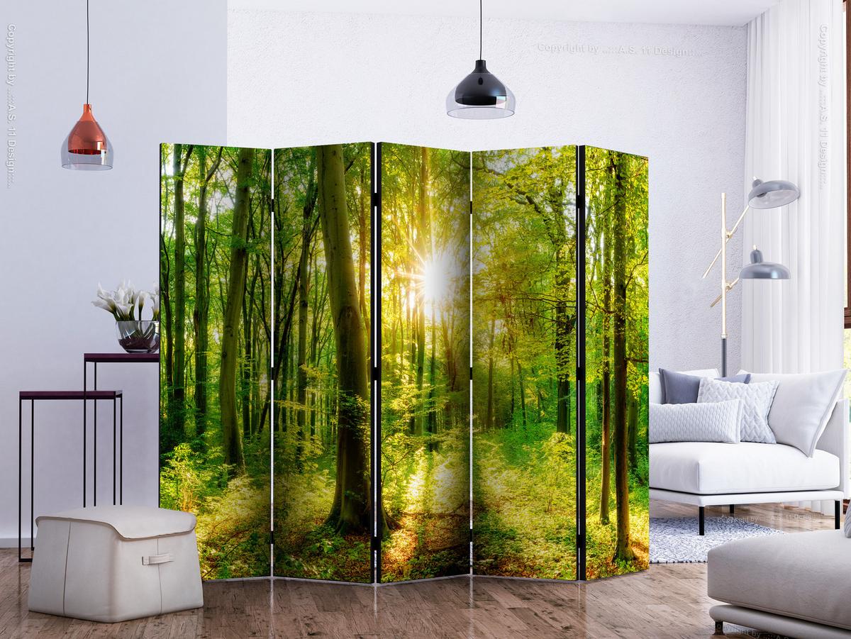 PARAVENT Akustik 5-tlg 225x172 cm Sonnenstrahlen Im Wald - Grün, Holz/Textil (225/172/3cm) - Muralo