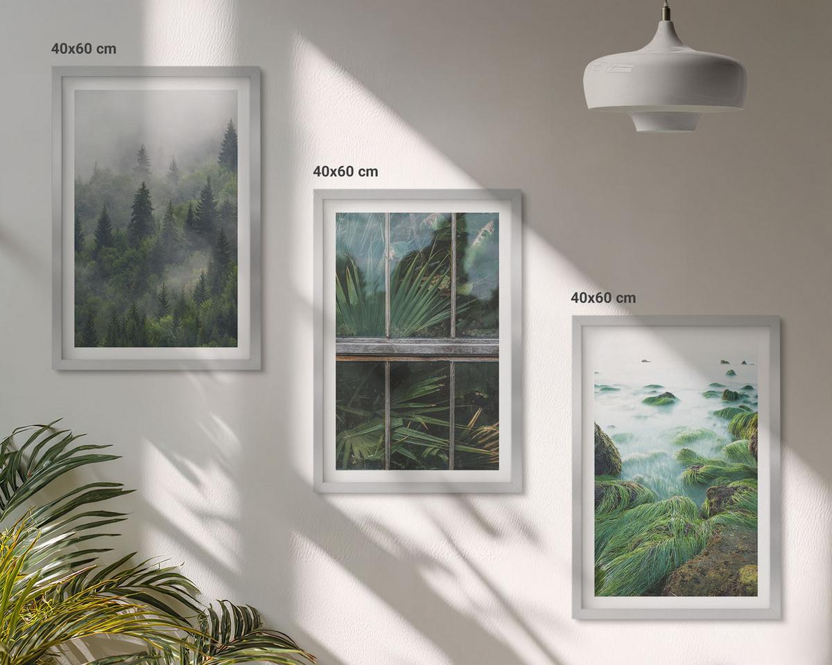 BILDER SET 3er Set - 40x60 cm Silberner Rahmen - Waldnebel, Flussufer, Gewächshaus - Silberfarben, Kunststoff (40/60cm) - TULUP