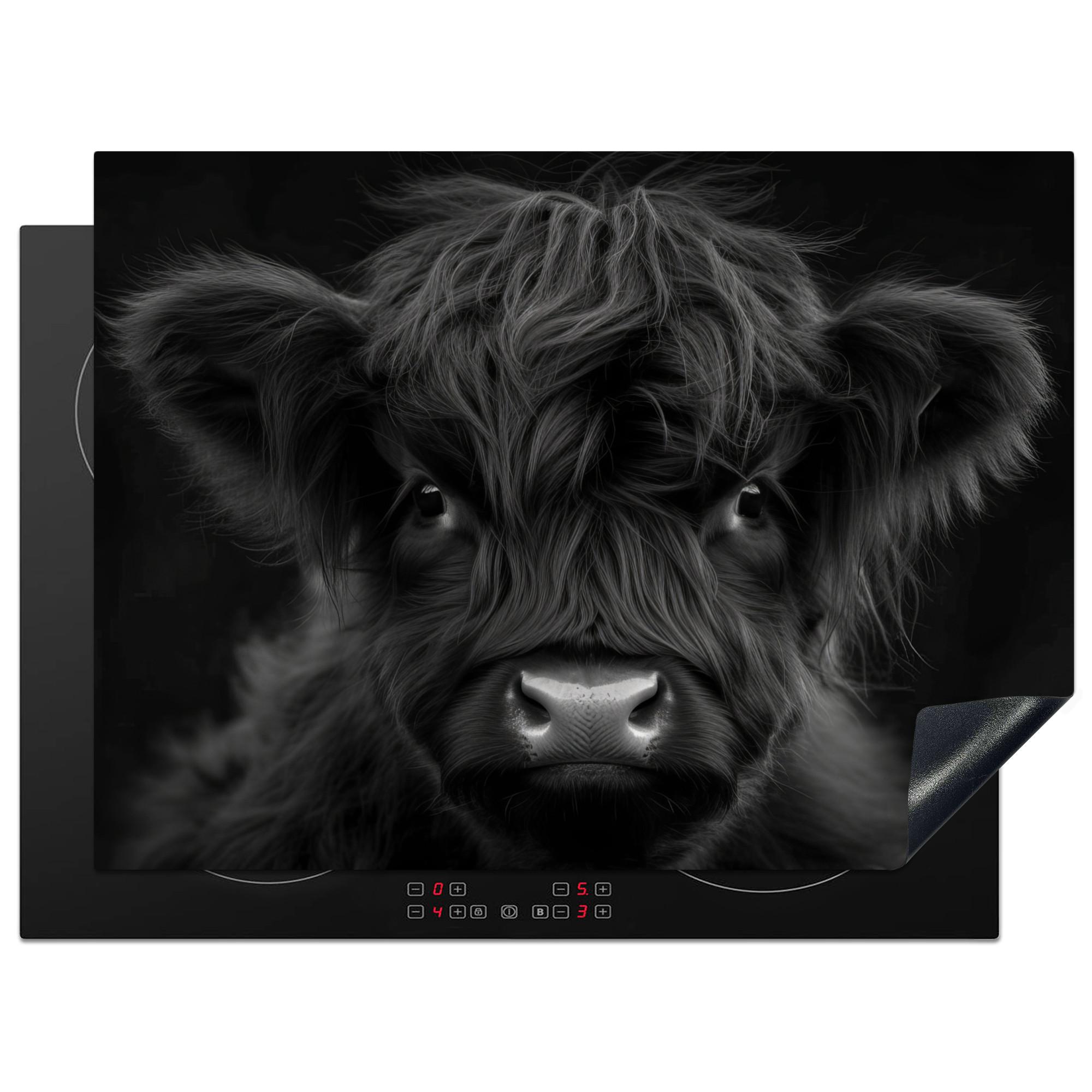 HERDABDECKPLATTE Scottish Highlander - Schwarz - Kalb - Kuh Herdabdeckung Induktionsfeld 70x52 cm - Schwarz, Kunststoff (70/52/0.2cm) - MuchoWow