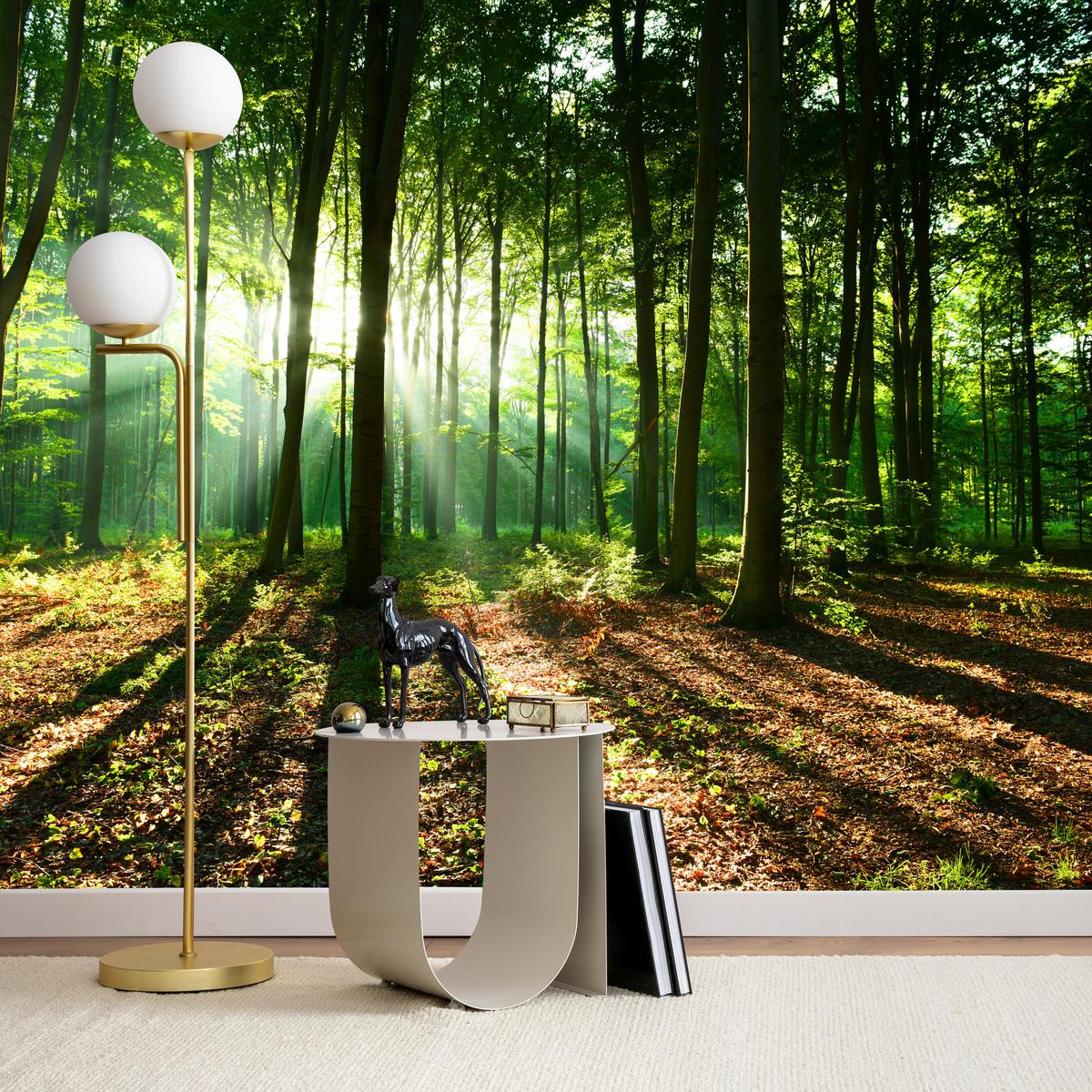 FOTOTAPETE für Wohnzimmer Sonnenstrahlen Wald Bäume Blätter 500x350 - Beige/Braun, Papier (500/350cm) - Muralo