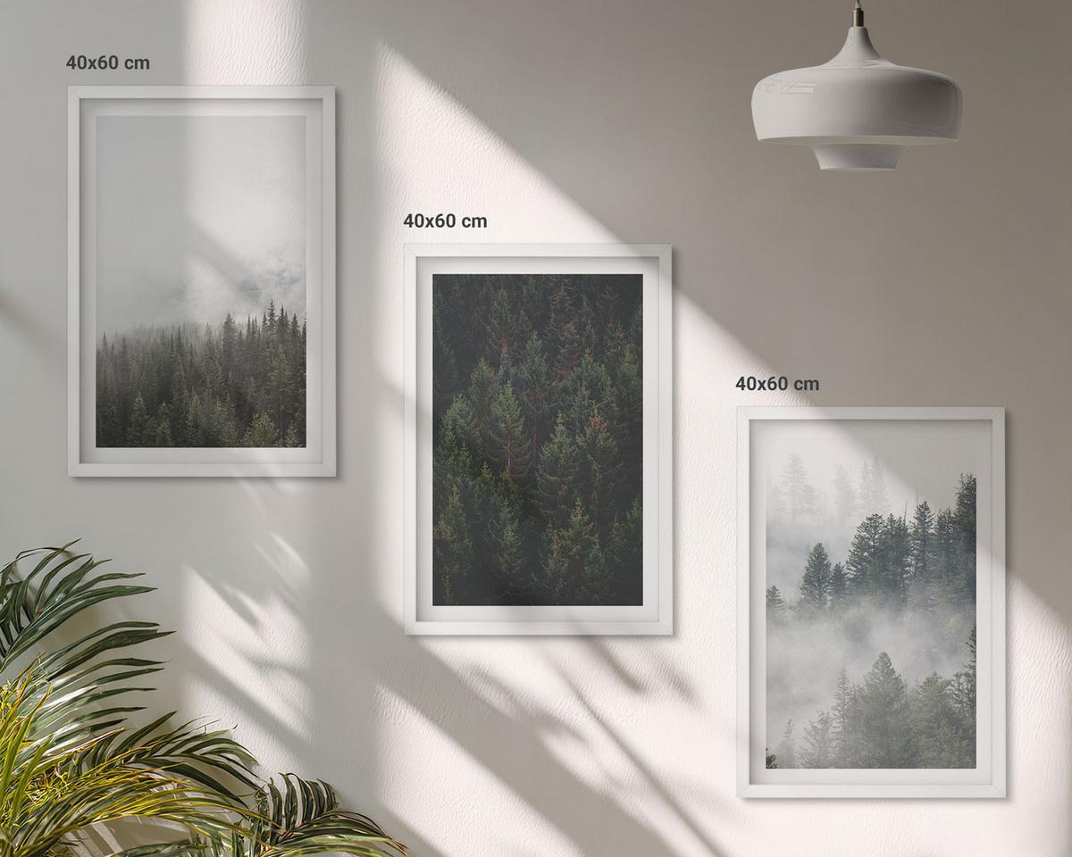 BILDER SET 3er Set - 40x60 cm Weißer Rahmen - Grüne Wälder Nebel Natur - Weiß, Kunststoff (40/60cm) - TULUP