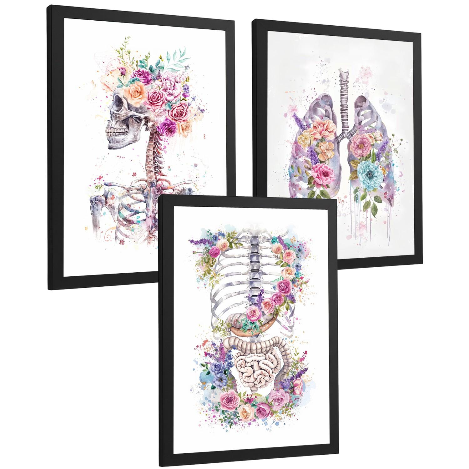 POSTER Set aus 3 Anatomie Drucke mit Skelett Schädel Wirbelsäule Rippen Lungen und Verdauungssystem Künstlerischer Größe Schwarzer Rahmen A4 - Schwarz, Papier (21/29.7/3cm) - Nacnic