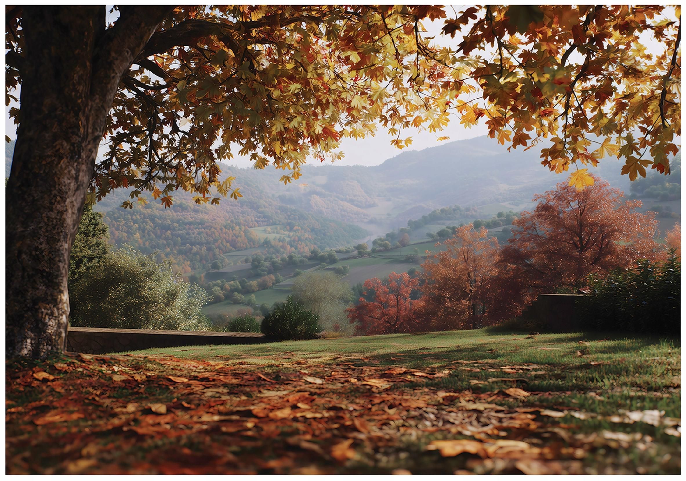 FOTOTAPETE Landschaft Wald Braun 400x280 cm - Multicolor, Papier (400/280cm) - Wallarena