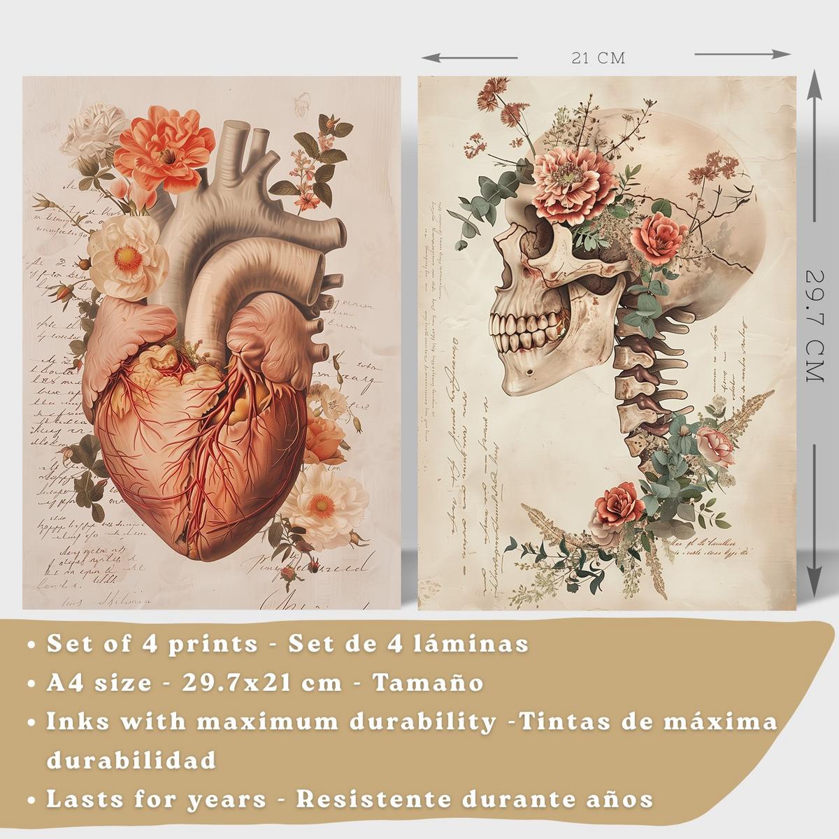 POSTER Set aus 4 Vintage Anatomie Drucke und Wandbilder mit Blumen Herz Lungen Schädel und Gehirn Wanddekoration Größe Schwarzer Rahmen A4 - Schwarz, Papier (21/29.7/3cm) - Nacnic