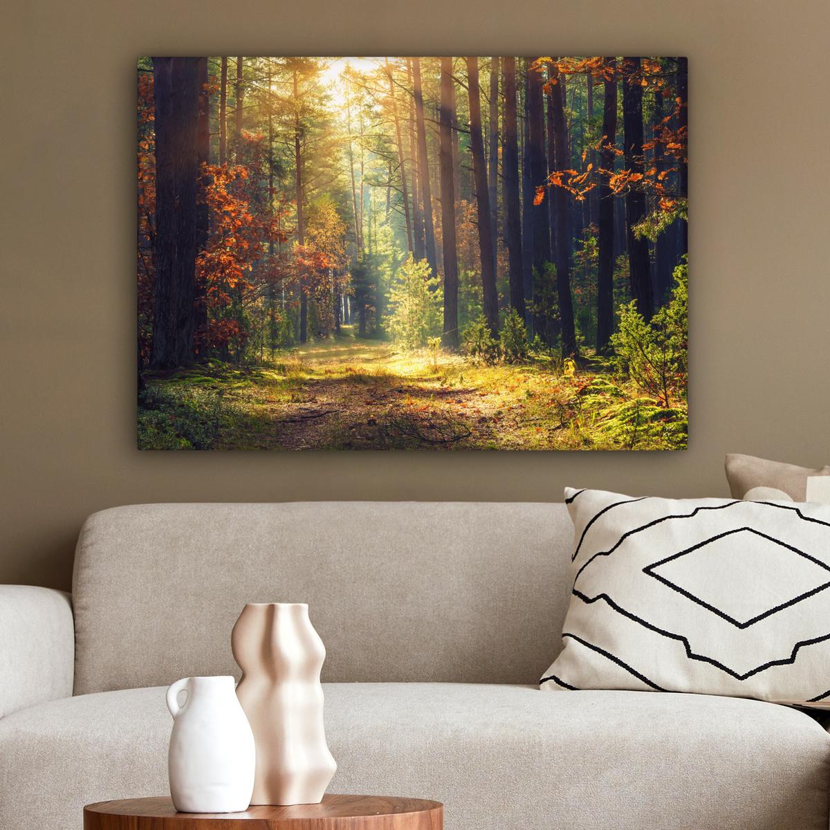 LEINWANDBILD Wald - Herbst - Bäume Wandbilder 80x60 cm - Dunkelgrün, Textil (80/60cm) - MuchoWow
