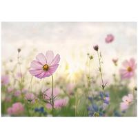 FOTOTAPETE Blumenwiese Vlies Tapete Wohnzimmer 350x250 - Multicolor, Papier (350/250cm) - Wallarena