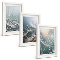 BILDER SET 3er Set - 20x30 cm Weißer Rahmen - Wassertropfen auf Löwenzahnsprossen - Weiß, Kunststoff (20/30cm) - TULUP