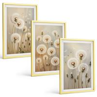 BILDER SET 3er Set - 40x60 cm Goldrahmen - Weiße Löwenzahnblüten auf hellem Hintergrund - Goldfarben, Kunststoff (40/60cm) - TULUP