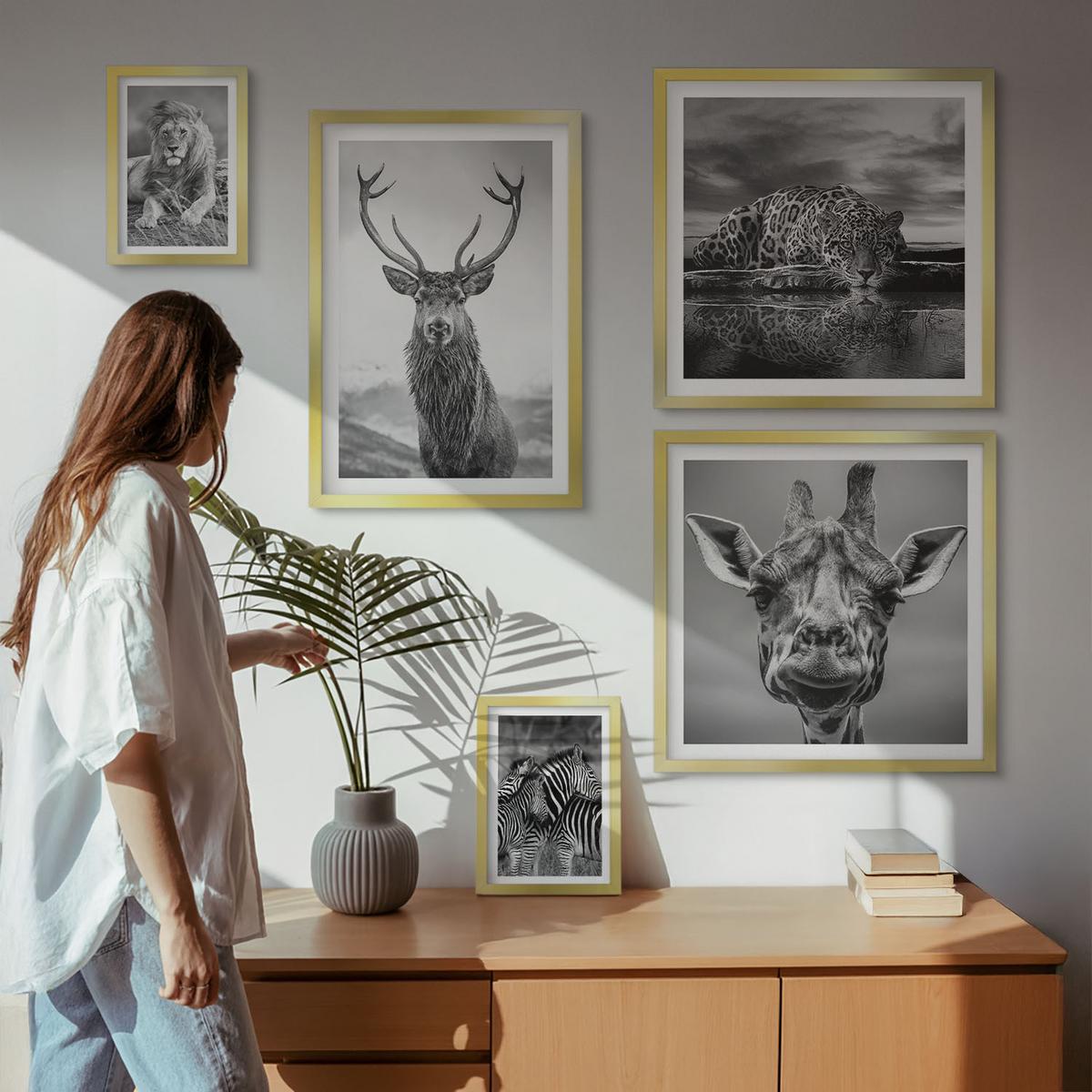 BILDER SET 5er Set - 50x50 cm & 20x30 cm & 40x60 cm Goldrahmen - Wildtiere Löwe Jaguar Giraffe Zebras - Goldfarben, Kunststoff (40/60cm) - TULUP