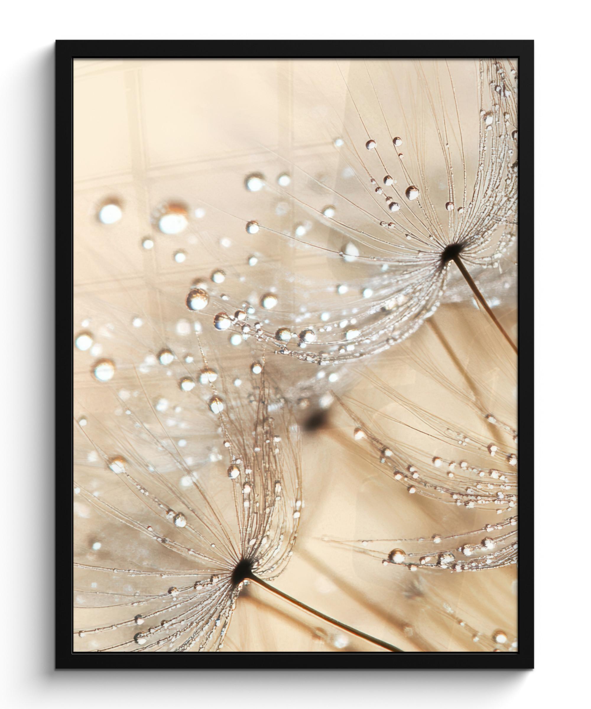 POSTER MIT RAHMENGERAHMTES BILD Löwenzahn - Abstrakt - Natur - Beige Posterleiste 60x80 cm - Braun, Papier (60/80cm) - MuchoWow