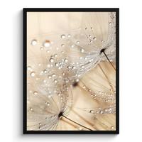 POSTER MIT RAHMENGERAHMTES BILD Löwenzahn - Abstrakt - Natur - Beige Posterleiste 60x80 cm - Braun, Papier (60/80cm) - MuchoWow