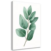 LEINWANDBILD Natur und Botanik 40x60cm - Grün, Textil (40/60cm) - Feeby