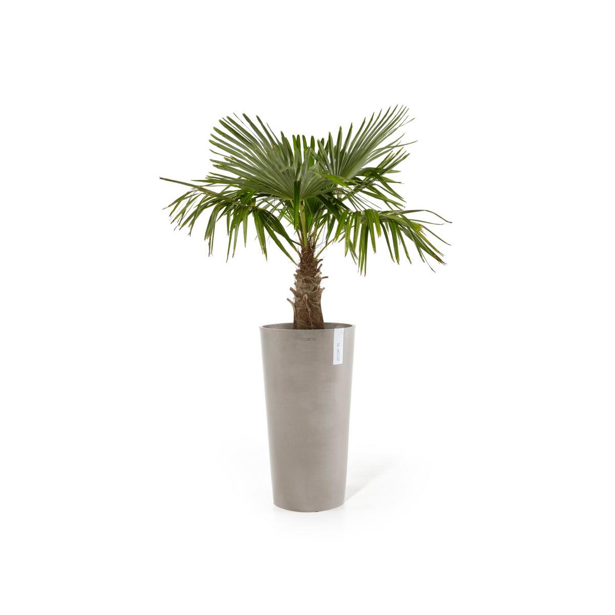 BLUMENTOPF Amsterdam Mid High 34/66 cm Taupe - Taupe, Kunststoff (34/66cm) - Ecopots