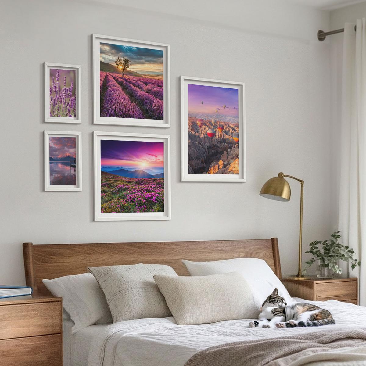 BILDER SET 5er Set - 50x50 cm & 20x30 cm & 40x60 cm Weißer Rahmen - Sonnenuntergang auf Lavendelfeldern - Weiß, Kunststoff (40/60cm) - TULUP