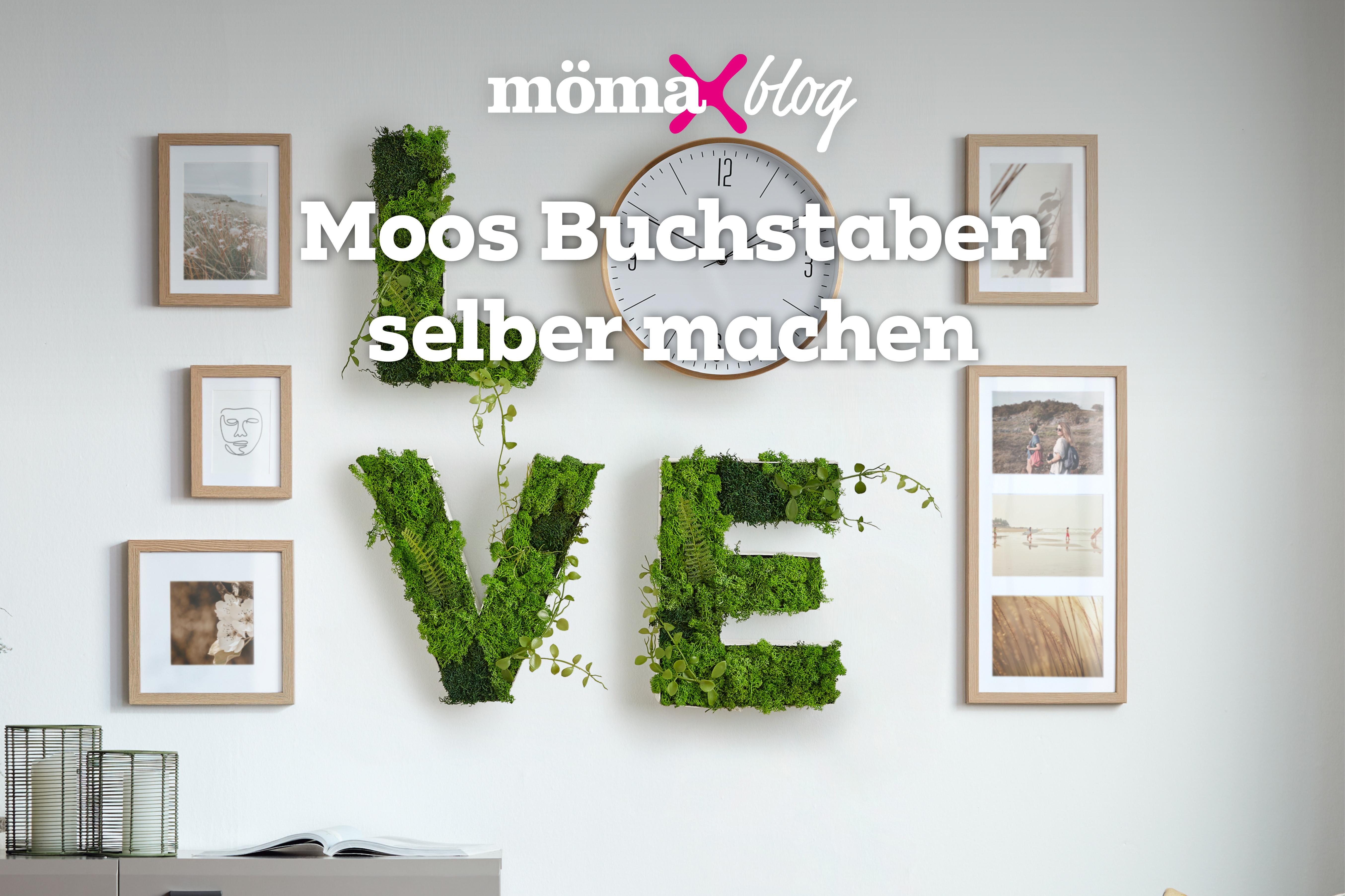 Lass deine Wände sprechen - Moos Buchstaben selber machen