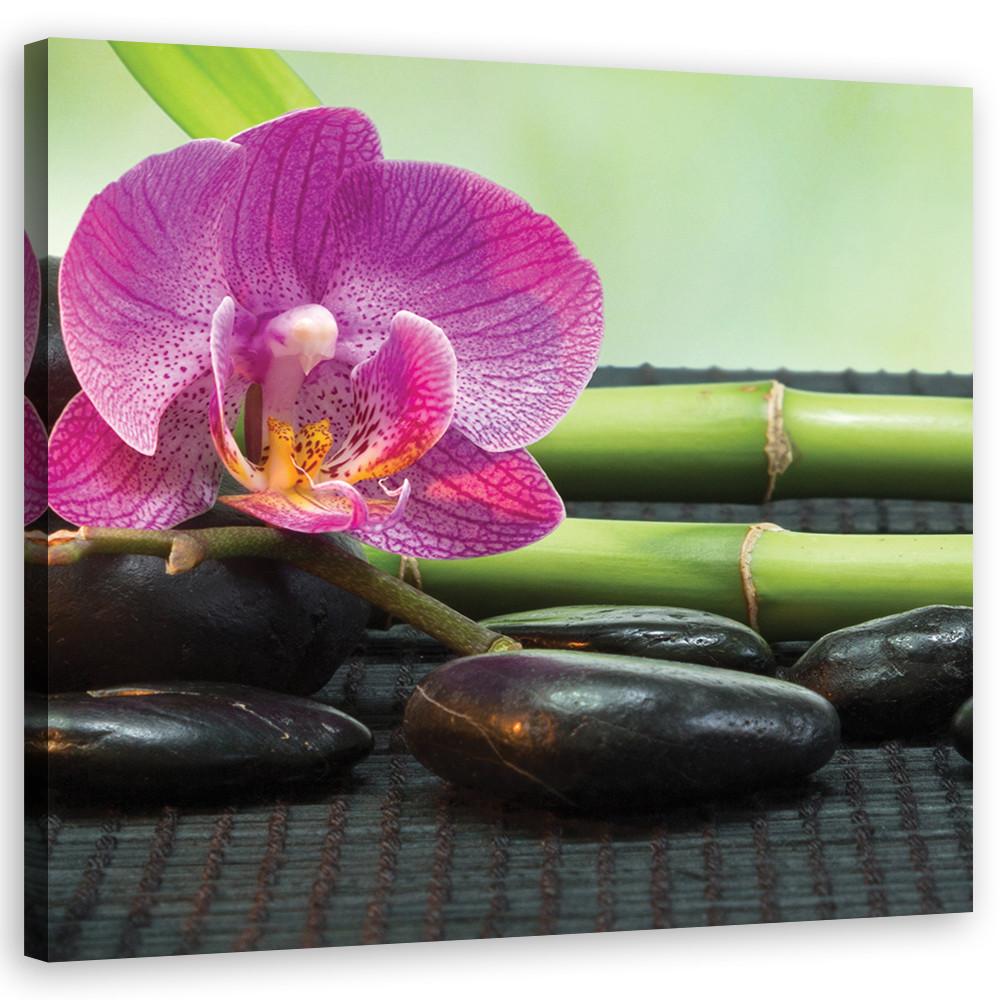 WANDBILD orchidee auf schwarzen steinen - Lila, Textil (30/30cm) - Feeby