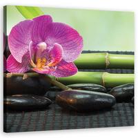 WANDBILD orchidee auf schwarzen steinen - Lila, Textil (30/30cm) - Feeby