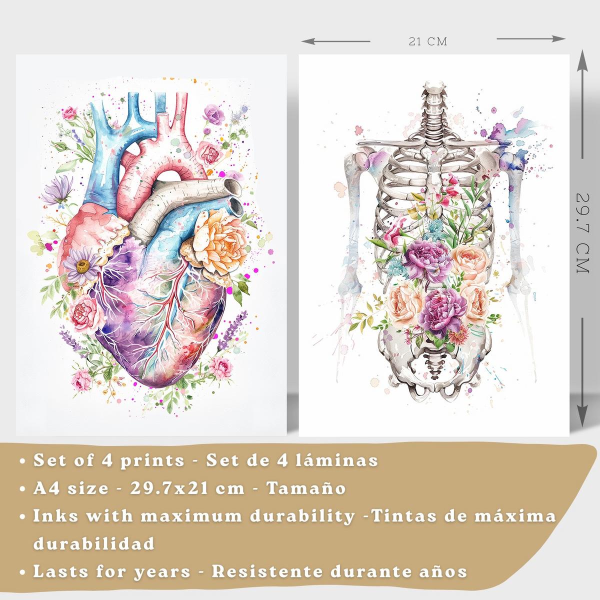 POSTER Set aus 4 Anatomie Mensch Drucke und mit Herz Gehirn Lungen Luftröhre Bronchien Wirbelsäule Florales Aquarell Design Leichter Holzrahmen A4 - Beige, Papier (21/29.7/3cm) - Nacnic