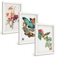 BILDER SET 3er Set - 20x30 cm Weißer Rahmen - Blumen, Schmetterlinge, Vögel, Pastellfarben - Weiß, Kunststoff (20/30cm) - TULUP