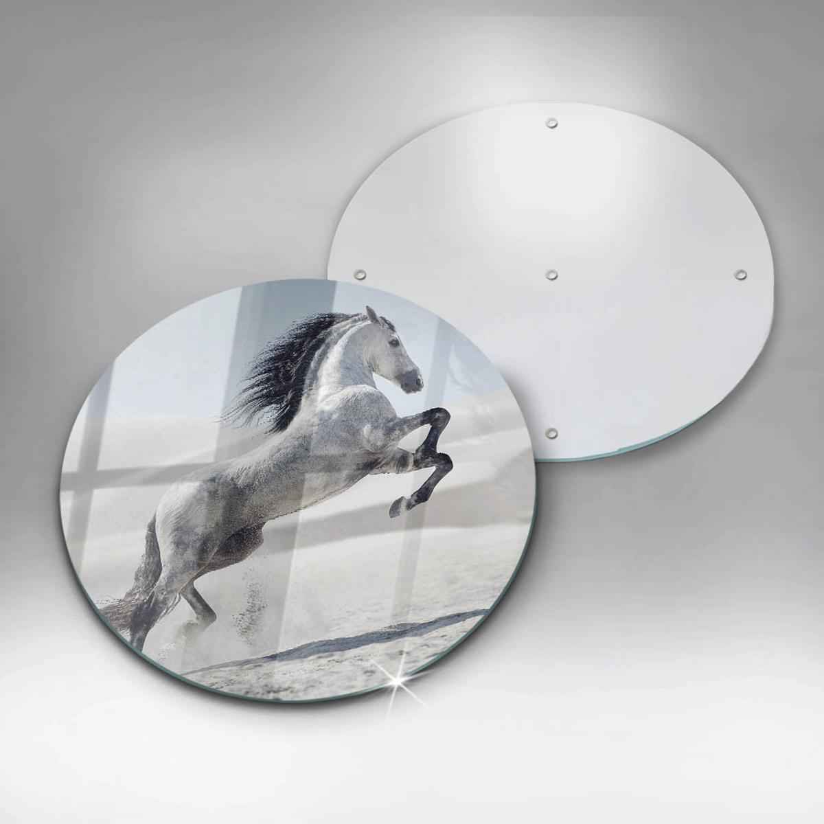 GLASPLATTE Ø 40 cm Weißes Rumänisches Pferd - Greige, Glas (40/40cm) - Wallfluent