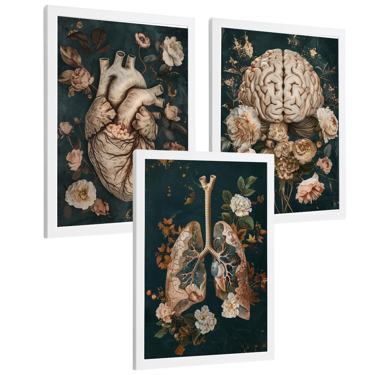 POSTER Set aus 3 Anatomie Drucke und Dekorative Wandbilder mit Herz Gehirn Lungen Atmungssystem Florales Grün Gold Design Größe Weißer Rahmen A4 - Weiß, Papier (21/29.7/3cm) - Nacnic