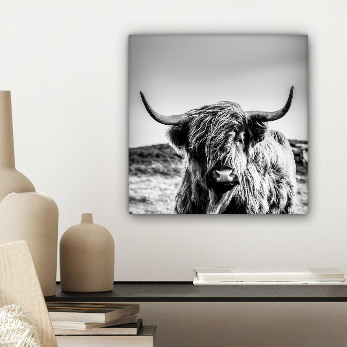 LEINWANDBILD Kuh - Schottischer Hochländer - Schwarz - Weiß - Tier - Natur - Wildtiere Deko Wohnzimmer 20x20 cm - Schwarz, Textil (20/20cm) - MuchoWow