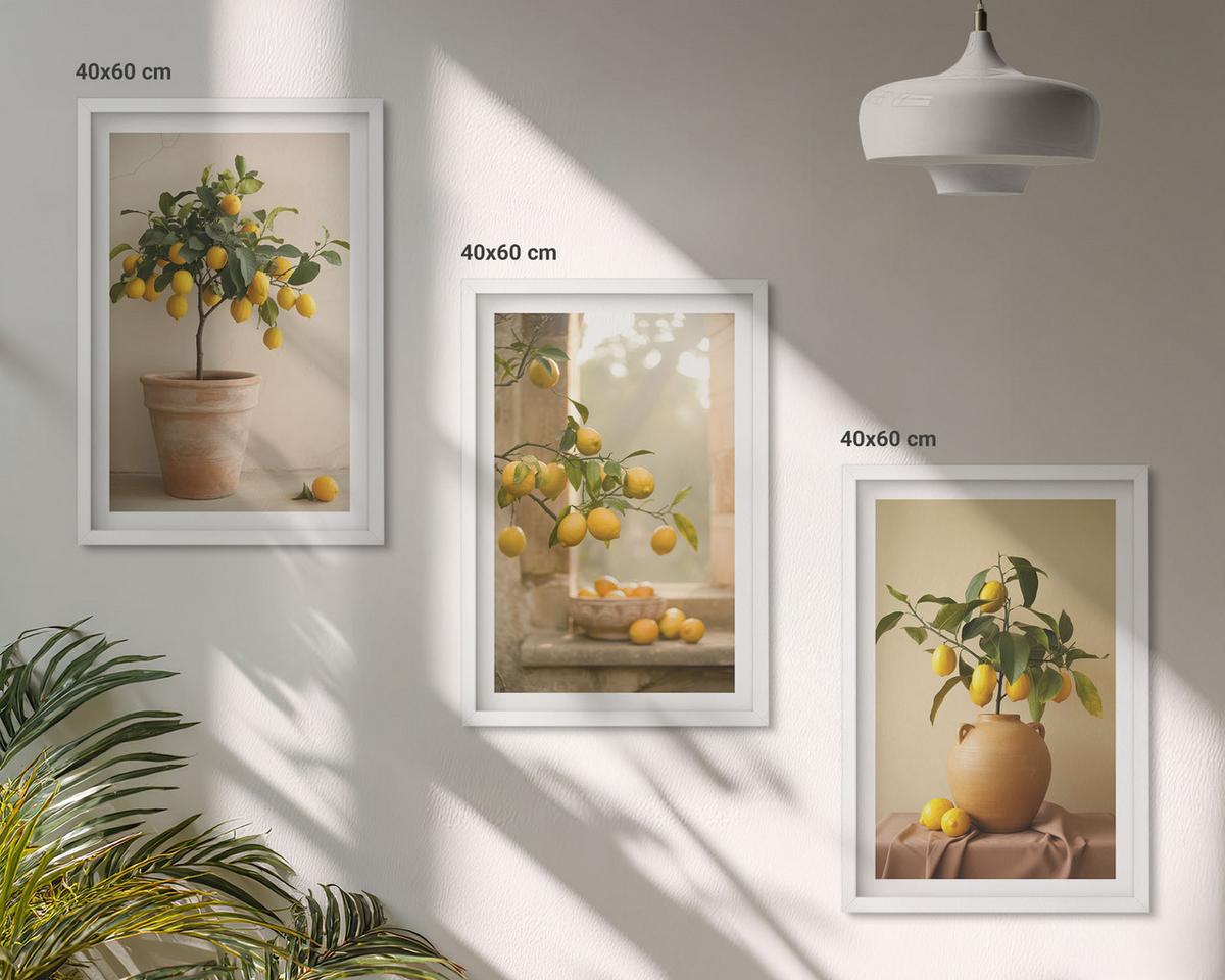 BILDER SET 3er Set - 40x60 cm Weißer Rahmen - Zitronenbäume im Topf - Weiß, Kunststoff (40/60cm) - TULUP