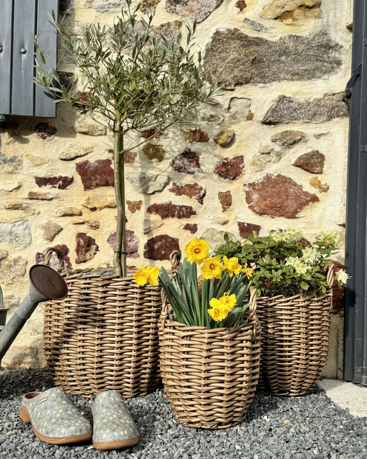 BLUMENKORB Braun Aucuba - Hellbraun, Kunststoff (26cm) - Beliani