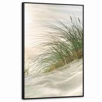 LEINWAND Bilder mit Rahmen - Dünen mit Strandhafer in der Sonne des Nationalparks Schleswig-Holsteinisches Wattenmeer - 100x150 - Creme, Textil (100/150cm) - MuchoWow