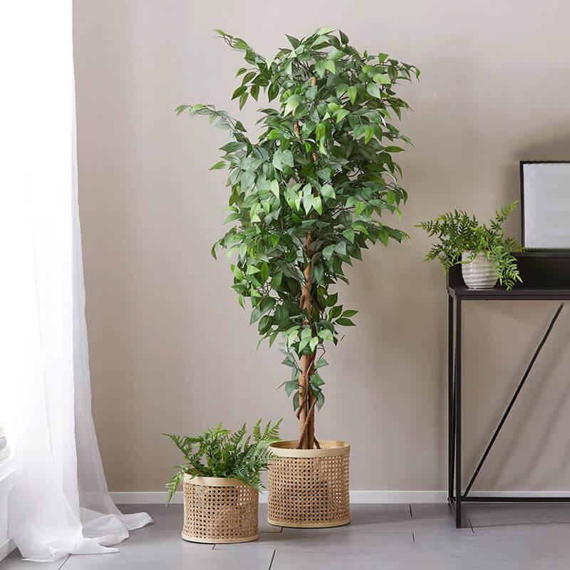 C8C10C2 - Cvetlicni lonci2.jpg