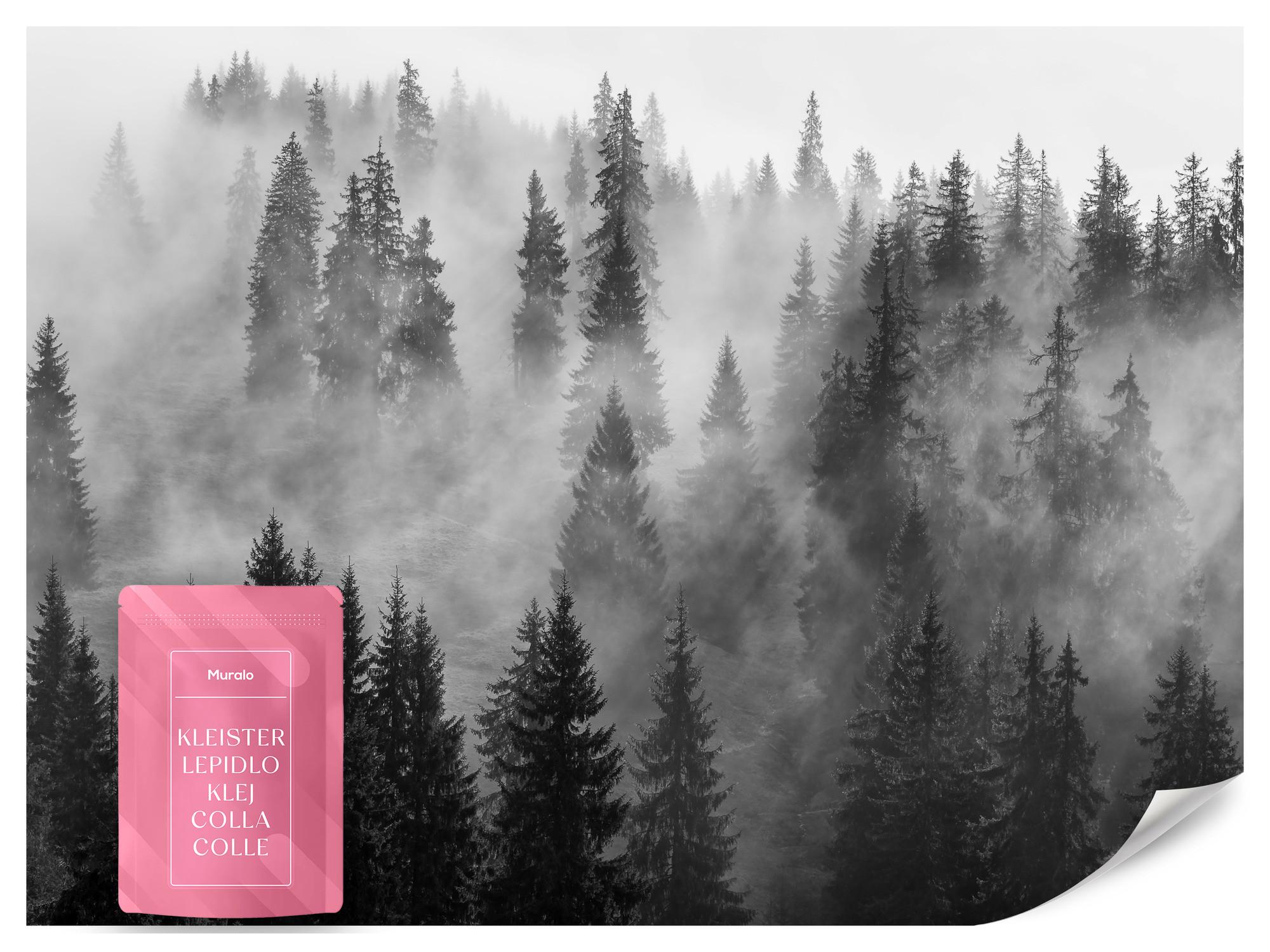 FOTOTAPETE Schwarz-weißer Wald im Nebel Natur 150x105 - Schwarz/Grau, Papier (150/105cm) - Muralo
