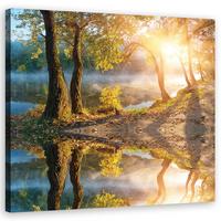 WANDBILD landschaften gelb - Gelb, Textil (40/40cm) - Feeby