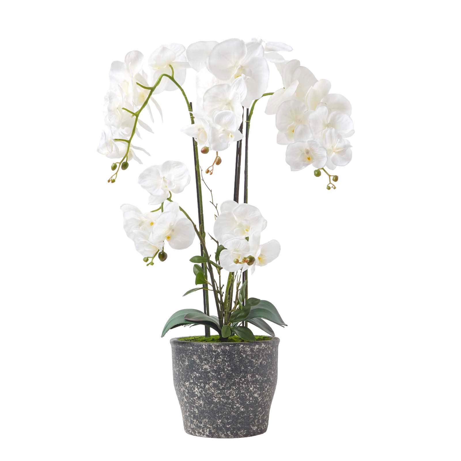 KUNSTBLUME Orchidee weiß im Deko-Topf, 82 cm - Weiß, Kunststoff (82cm) - Homescapes